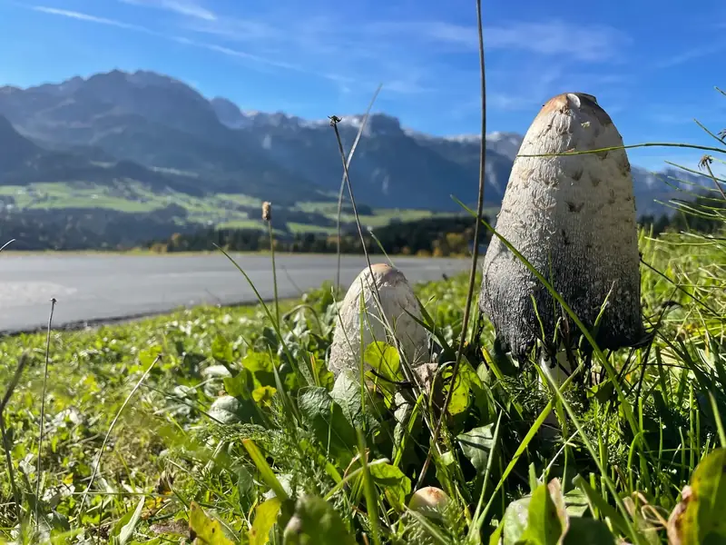Spulmoos: die direkte Nachbarschaft im Sommer.