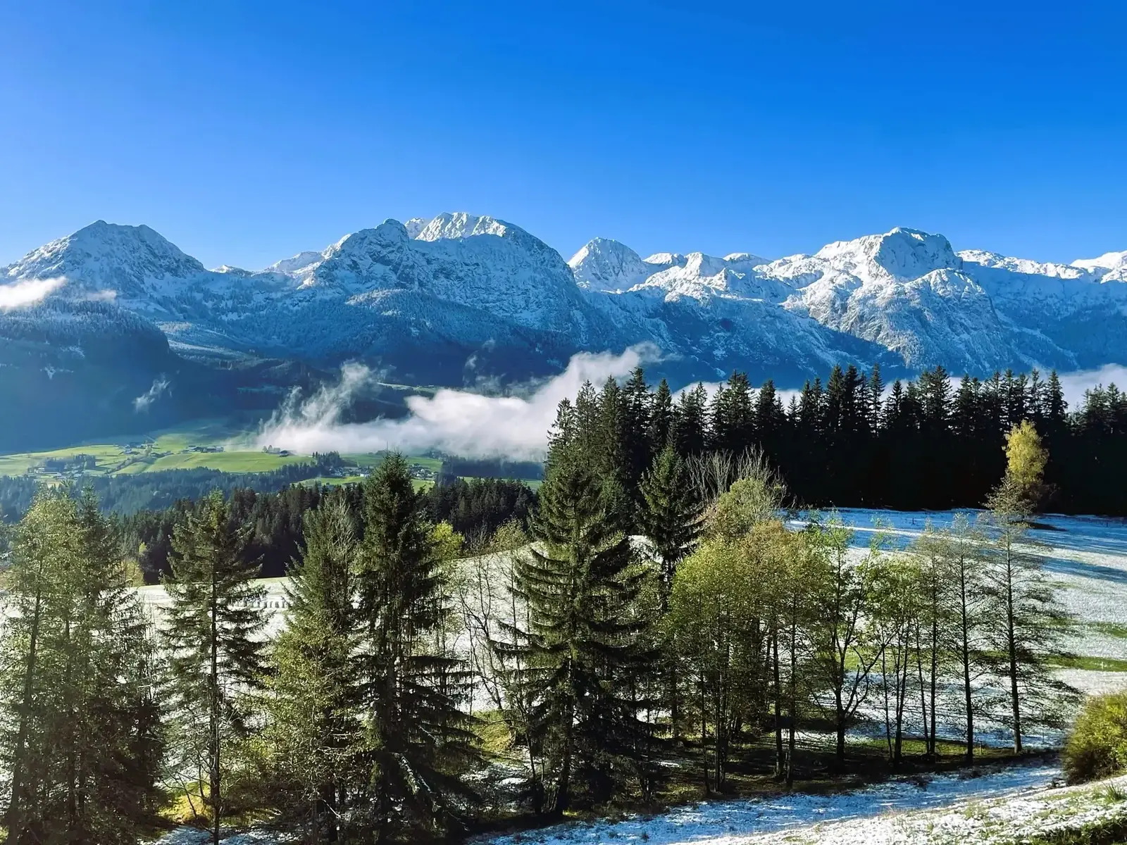 Frühlingsblick auf das Tennengebirge mit Wald im Vordergrund